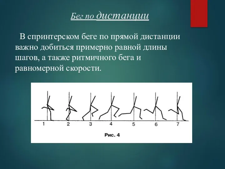 Бег по дистанции В спринтерском беге по прямой дистанции важно