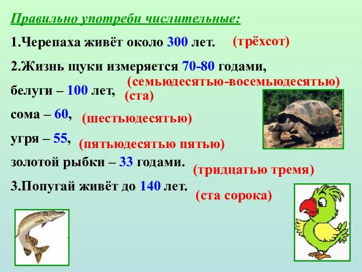 Правильно употреби числительные: 1.Черепаха живёт около 300 лет. 2.Жизнь щуки