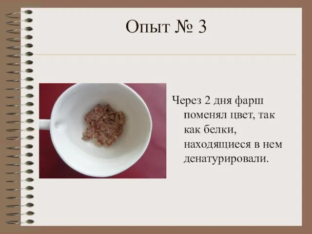 Опыт № 3 Через 2 дня фарш поменял цвет, так как белки, находящиеся в нем денатурировали.