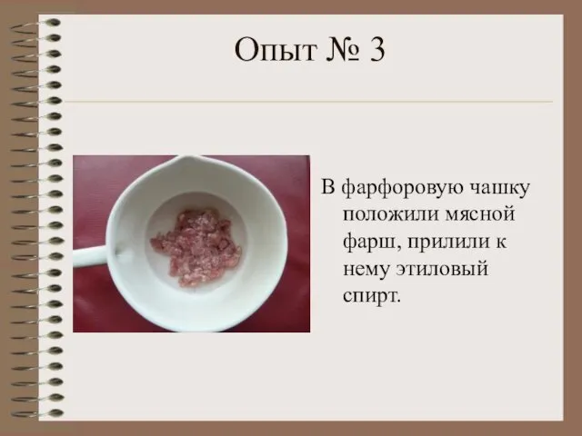 Опыт № 3 В фарфоровую чашку положили мясной фарш, прилили к нему этиловый спирт.