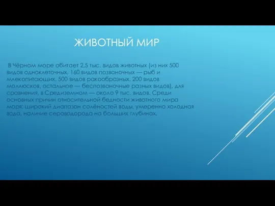 ЖИВОТНЫЙ МИР В Чёрном море обитает 2,5 тыс. видов животных