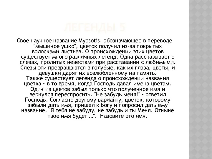 ЛЕГЕНДЫ 5 Свое научное название Myosotis, обозначающее в переводе "мышиное