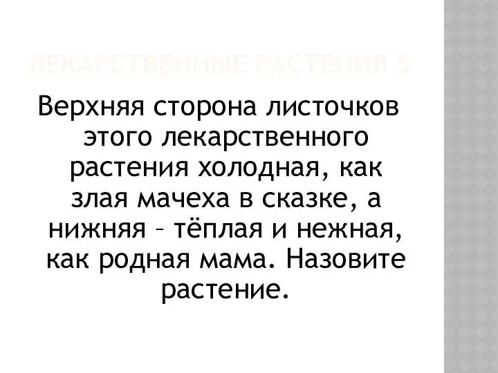 ЛЕКАРСТВЕННЫЕ РАСТЕНИЯ 5 Верхняя сторона листочков этого лекарственного растения холодная,