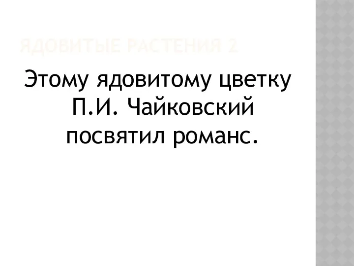 ЯДОВИТЫЕ РАСТЕНИЯ 2 Этому ядовитому цветку П.И. Чайковский посвятил романс.