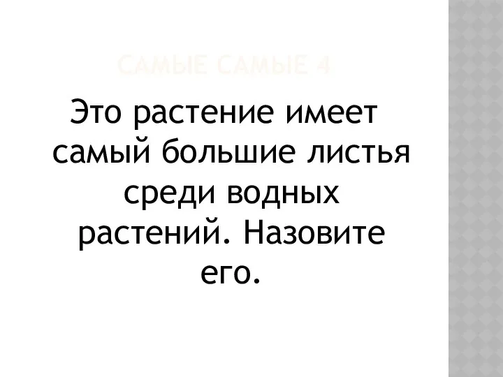 САМЫЕ САМЫЕ 4 Это растение имеет самый большие листья среди водных растений. Назовите его.