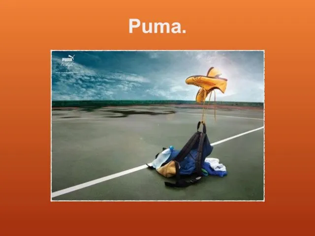 Puma.