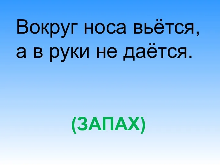 (ЗАПАХ) Вокруг носа вьётся, а в руки не даётся.