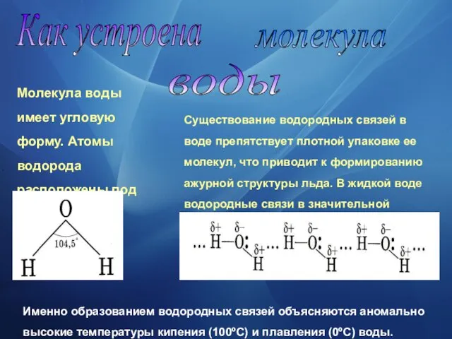 Как устроена молекула воды Молекула воды имеет угловую форму. Атомы