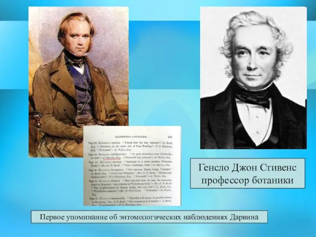 Генсло Джон Стивенс профессор ботаники Первое упоминание об энтомологических наблюдениях Дарвина