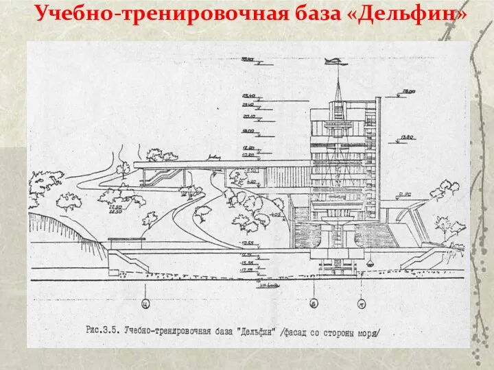 Учебно-тренировочная база «Дельфин»