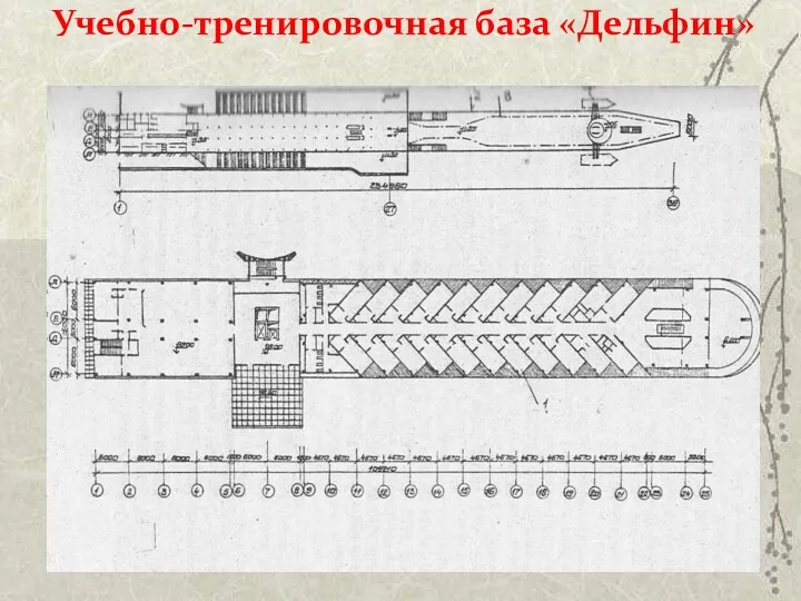 Учебно-тренировочная база «Дельфин»