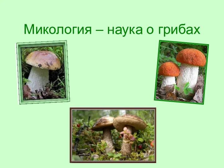 Микология – наука о грибах