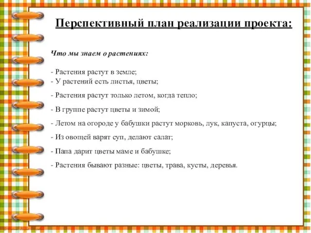 Перспективный план реализации проекта: Что мы знаем о растениях: -