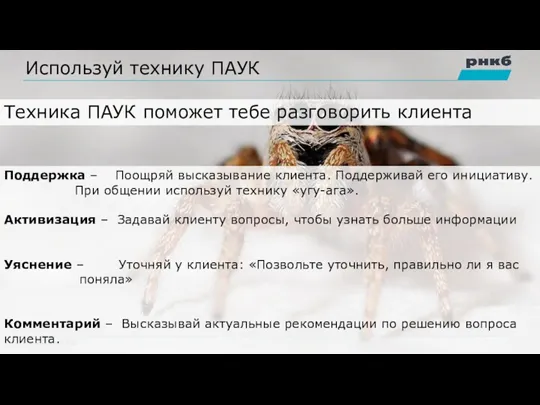 Используй технику ПАУК Техника ПАУК поможет тебе разговорить клиента Поддержка – Поощряй высказывание