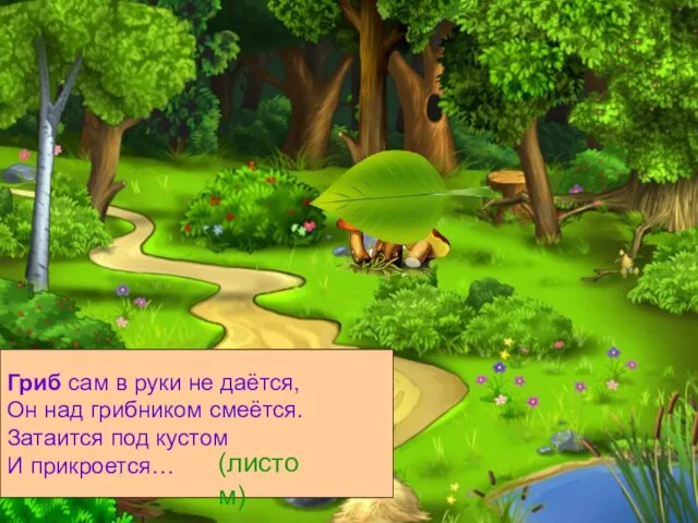 Гриб сам в руки не даётся, Он над грибником смеётся. Затаится под кустом И прикроется… (листом)