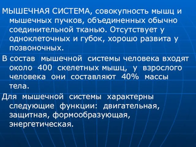 МЫШЕЧНАЯ СИСТЕМА, совокупность мышц и мышечных пучков, объединенных обычно соединительной