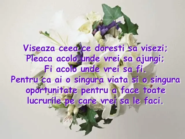 Viseaza ceea ce doresti sa visezi; Pleaca acolo unde vrei