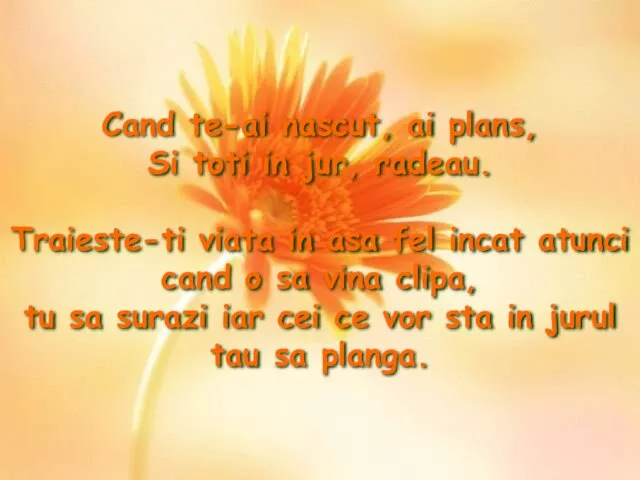 Cand te-ai nascut, ai plans, Si toti in jur, radeau.