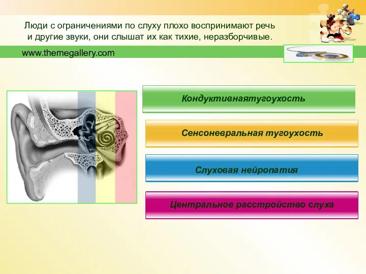 www.themegallery.com Кондуктивнаятугоухость Сенсоневральная тугоухость Слуховая нейропатия Центральное расстройство слуха Люди
