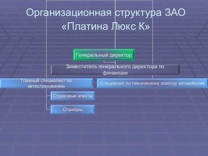 Организационная структура ЗАО «Платина Люкс К»