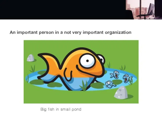 An important person in a not very important organization Big fish in small pond
