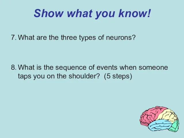 Show what you know! 7. What are the three types