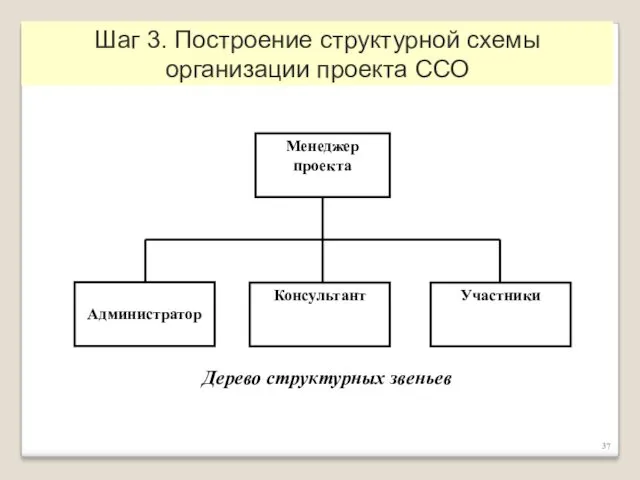 Шаг 3. Построение структурной схемы организации проекта ССО