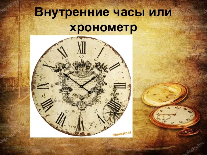 Внутренние часы или хронометр