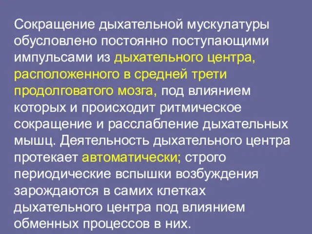 Сокращение дыхательной мускулатуры обусловлено постоянно поступающими импульсами из дыхательного центра,