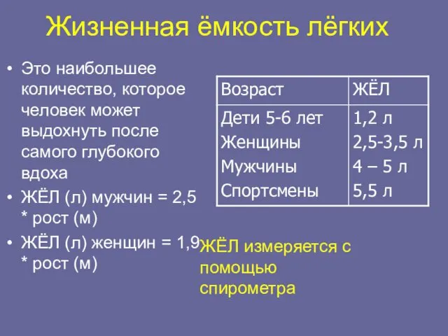 Жизненная ёмкость лёгких Это наибольшее количество, которое человек может выдохнуть