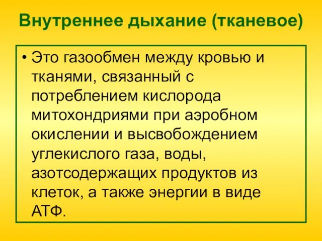 Внутреннее дыхание (тканевое) Это газообмен между кровью и тканями, связанный