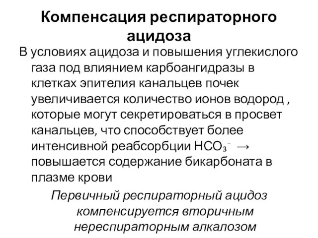 Компенсация респираторного ацидоза В условиях ацидоза и повышения углекислого газа