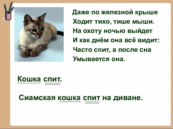 Даже по железной крыше Ходит тихо, тише мыши. На охоту