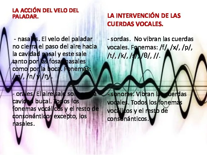 LA ACCIÓN DEL VELO DEL PALADAR. - nasales. El velo