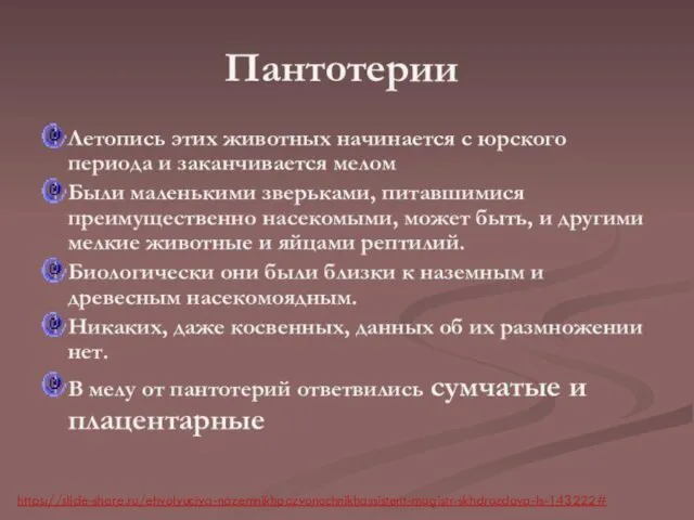 https://slide-share.ru/ehvolyuciya-nazemnikhpozvonochnikhassistent-magistr-skhdrozdova-ls-143222#