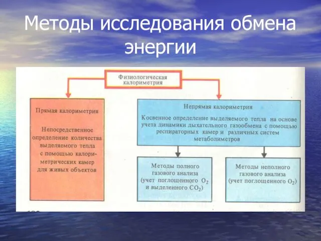 Методы исследования обмена энергии