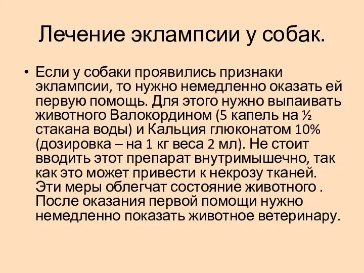 Лечение эклампсии у собак. Если у собаки проявились признаки эклампсии, то нужно немедленно