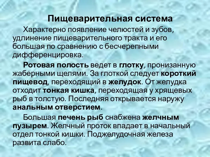 Пищеварительная система Характерно появление челюстей и зубов, удлинение пищеварительного тракта