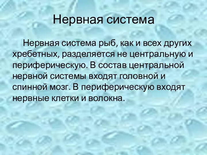 Нервная система Нервная система рыб, как и всех других хребетных,