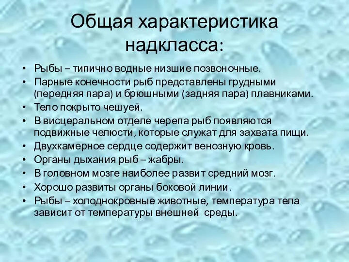 Общая характеристика надкласса: Рыбы – типично водные низшие позвоночные. Парные