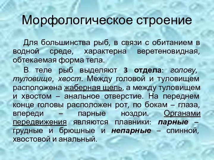 Морфологическое строение Для большинства рыб, в связи с обитанием в