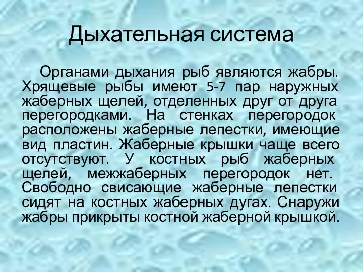 Дыхательная система Органами дыхания рыб являются жабры. Хрящевые рыбы имеют