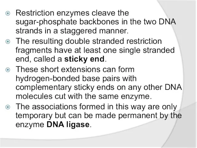 Restriction enzymes cleave the sugar-phosphate backbones in the two DNA