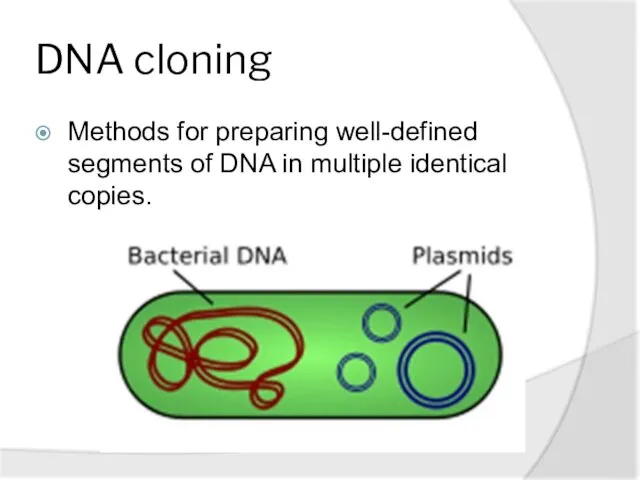 DNA cloning Methods for preparing well-defined segments of DNA in multiple identical copies.