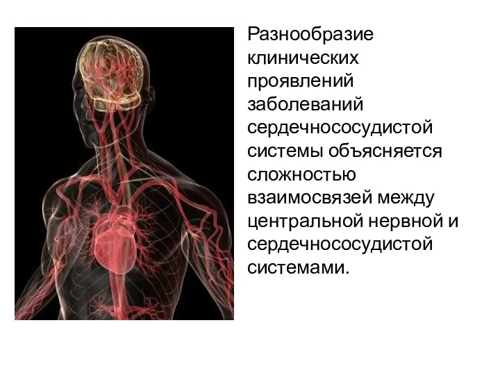 Разнообразие клинических проявлений заболеваний сердечнососудистой системы объясняется сложностью взаимосвязей между центральной нервной и сердечнососудистой системами.