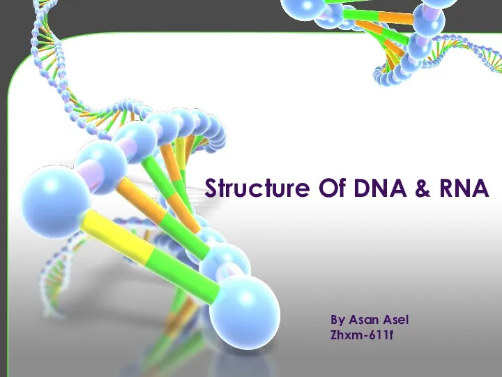 Structure Of DNA &amp; RNA