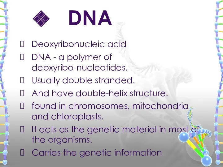 Deoxyribonucleic acid DNA - a polymer of deoxyribo-nucleotides. Usually double