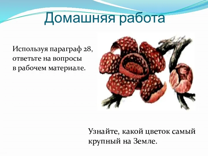 Домашняя работа Используя параграф 28, ответьте на вопросы в рабочем