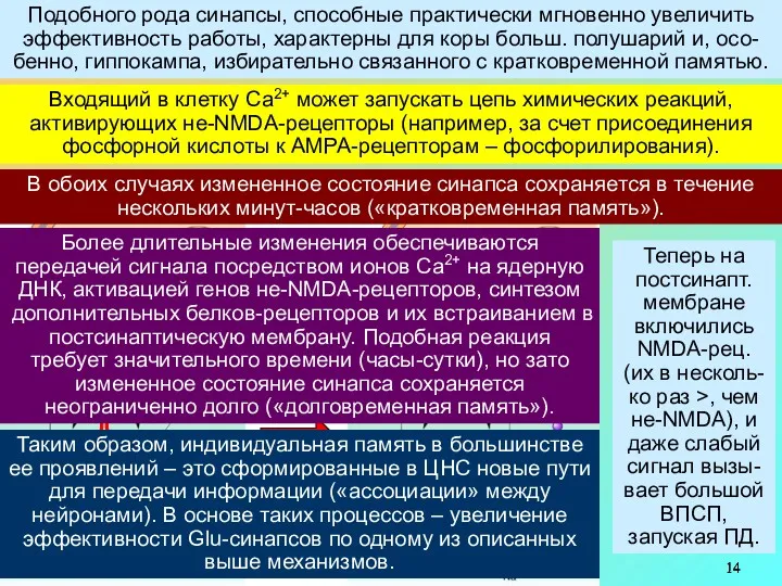 Уникальная особенность NMDA-рецепторов состоит в том, что их канал может