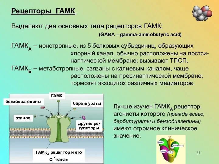 Рецепторы ГАМК. Выделяют два основных типа рецепторов ГАМК: (GABA –